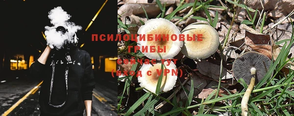 бошки Верея