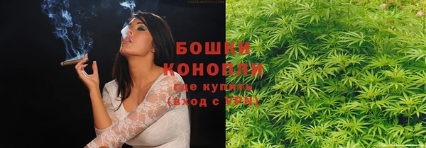 бошки Верея