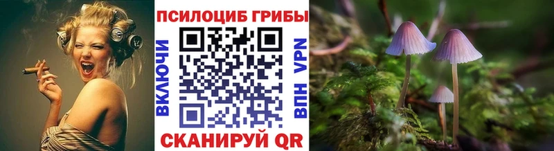 Галлюциногенные грибы MAGIC MUSHROOMS  Горно-Алтайск 