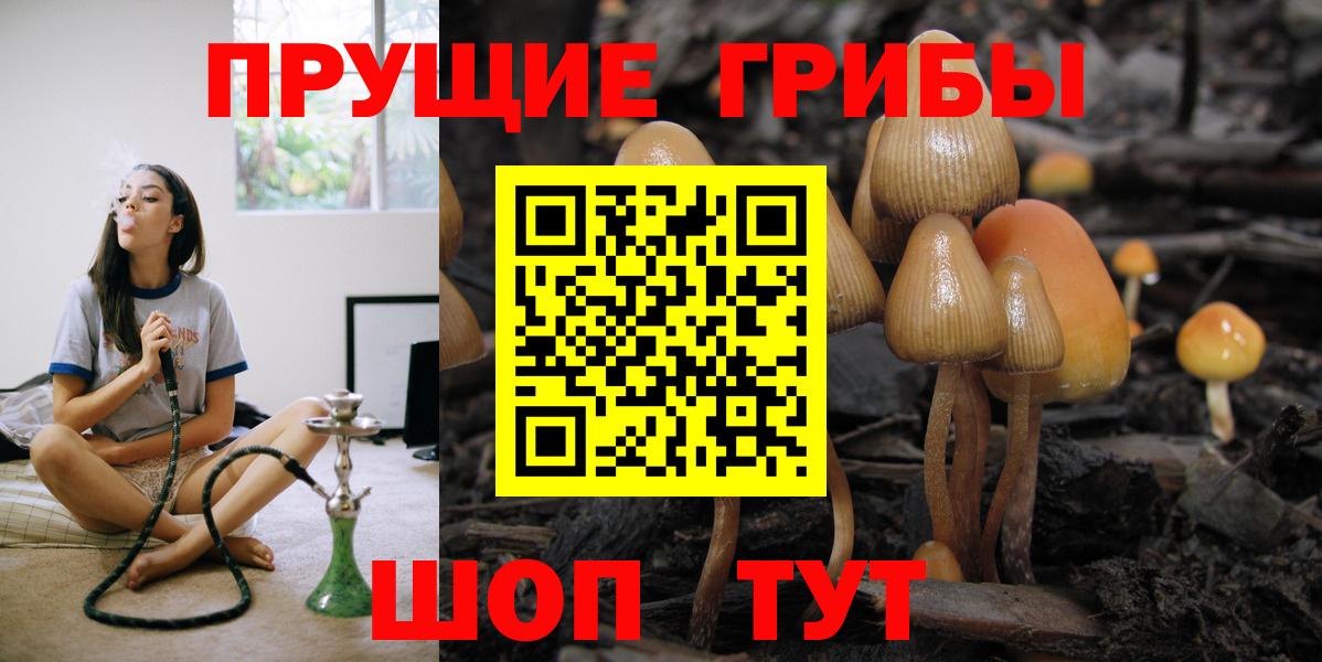 Горно-Алтайск  Галлюциногенные грибы прущие грибы  Вход с VPN 